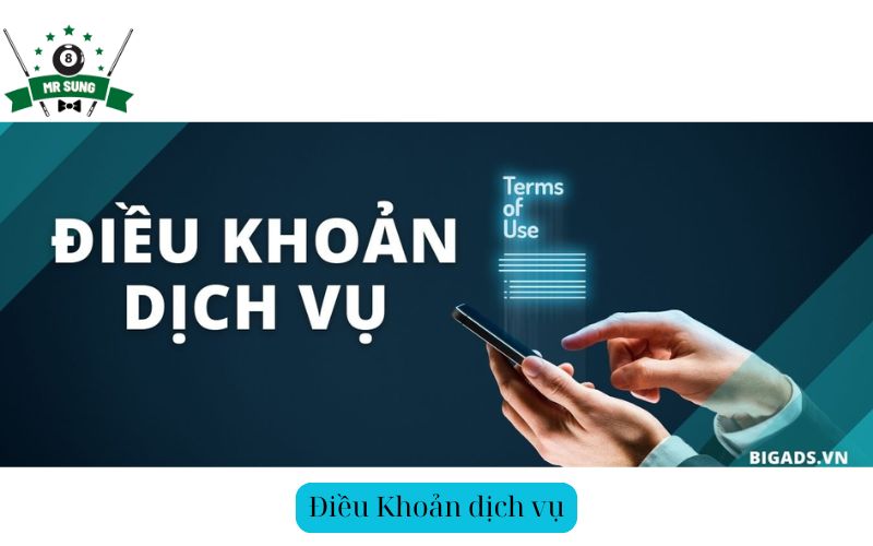 Điều Khoản dịch vụ