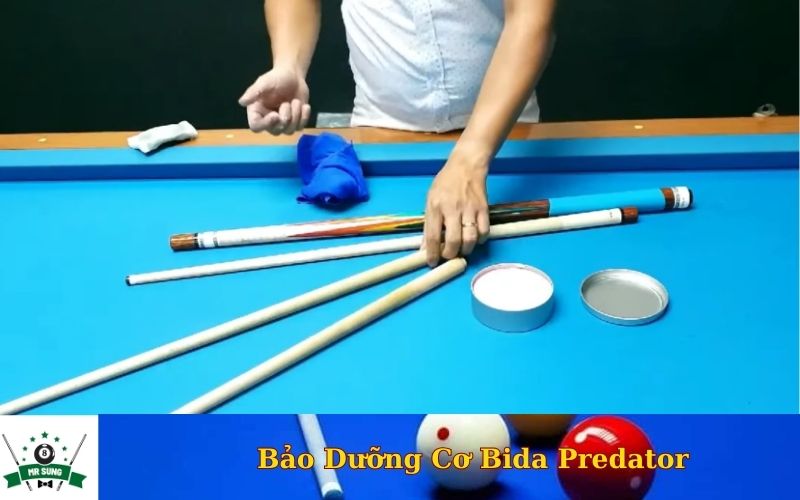 Bảo Dưỡng Cơ Bida Predator