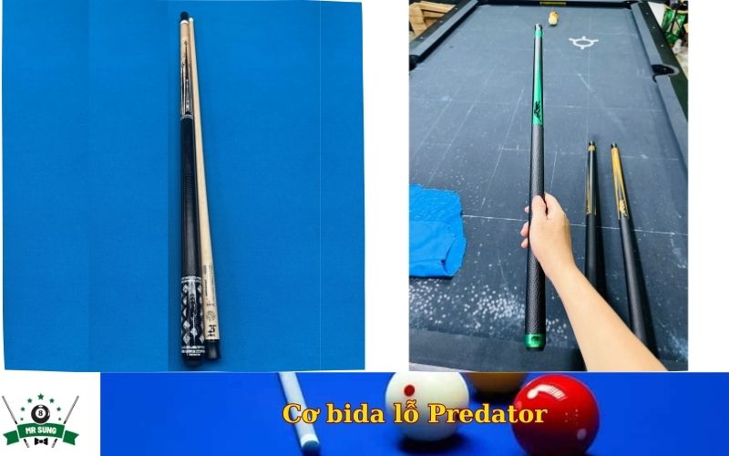 Cơ bida lỗ Predator