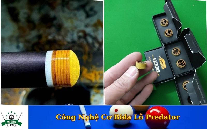 Công Nghệ Cơ Bida Lỗ Predator