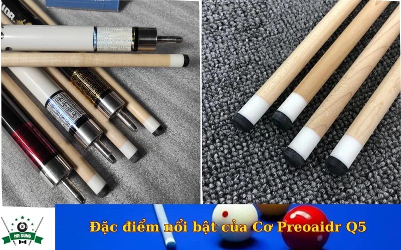 Đặc điểm nổi bật của Cơ Preoaidr Q5