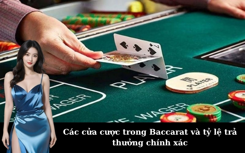 Các cửa cược trong Baccarat và tỷ lệ trả thưởng chính xác