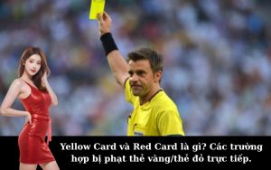 Yellow Card và Red Card là gì? Các trường hợp bị phạt thẻ vàng/thẻ đỏ trực tiếp.