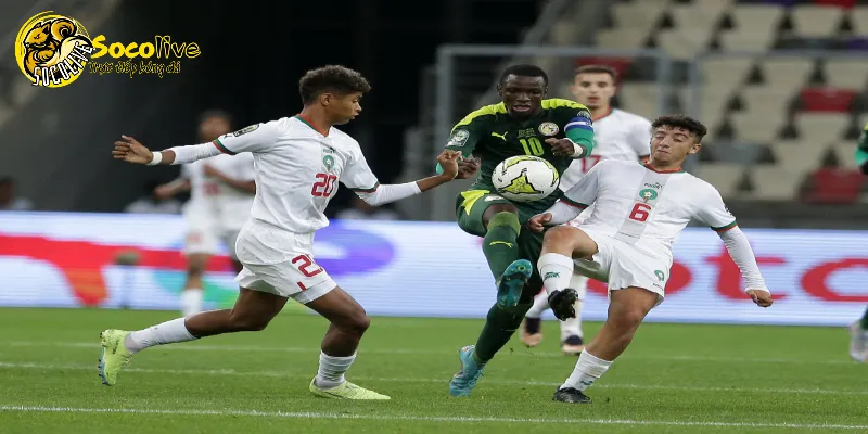 Socolive tv trực tiếp trận đấu có sự góp mặt của Diouf