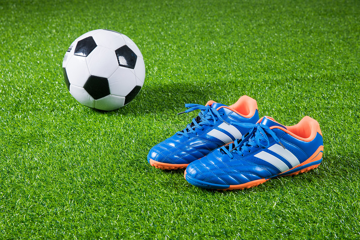 Các dạng tỷ lệ nổi bật trên hệ thống