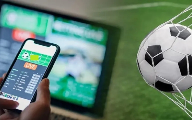 Cách theo dõi và phân tích biến động tỷ lệ cược