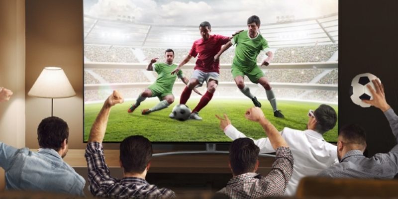 Các yếu tố quyết định tính ổn định và chất lượng hình ảnh