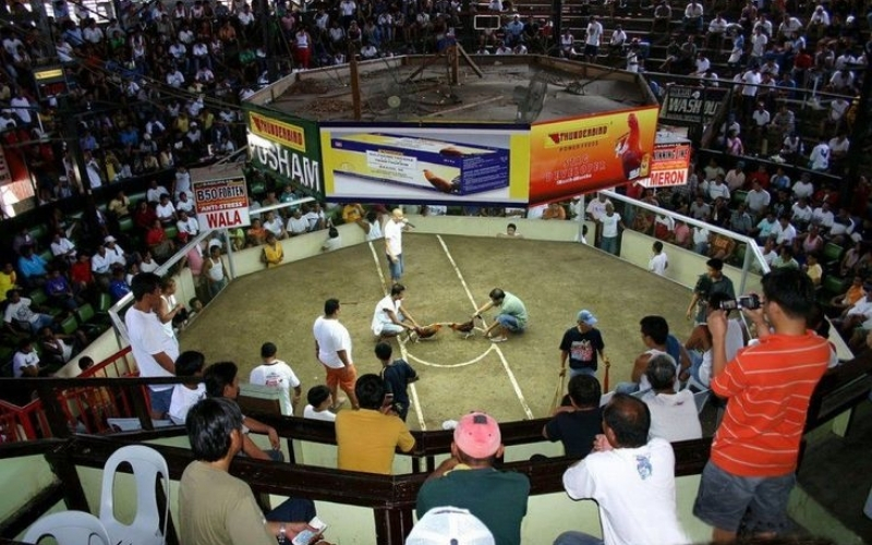 So sánh giải thưởng giữa hình thức C1 và C2