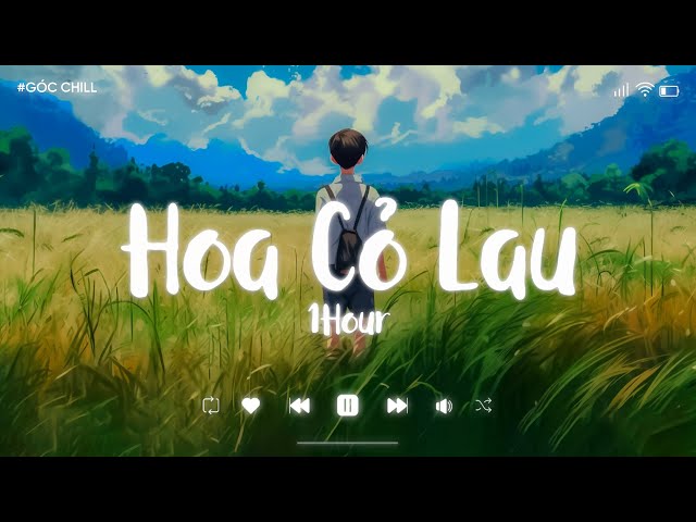 hoa-co-lau-phong-max