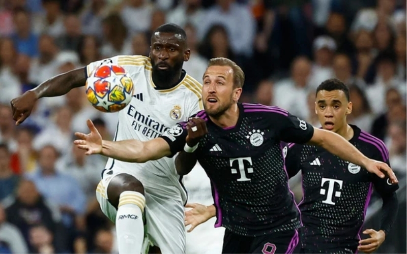 Cách bắt kèo Rung hiệu quả cho người mới bắt đầu