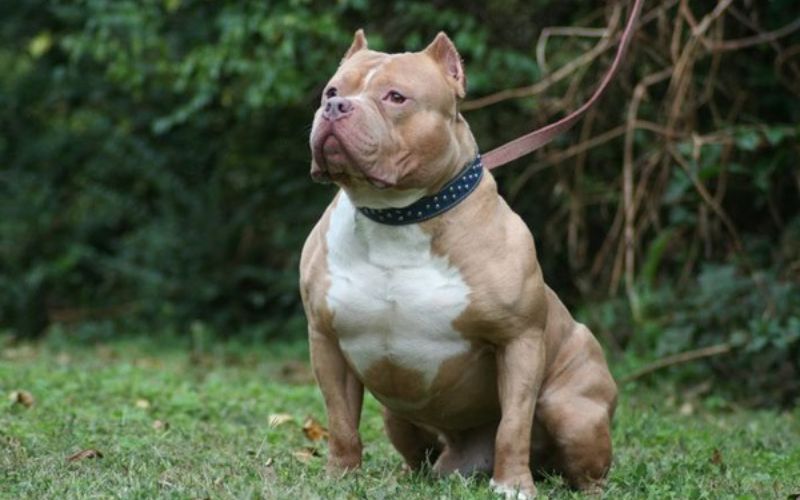 Tạo dựng môi trường sống sạch và tâm lý thoải mái